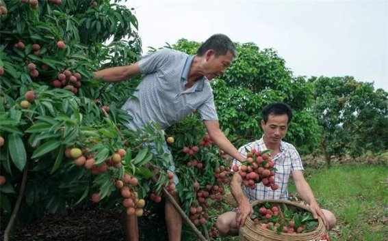 北海客家文化的深厚底蕴