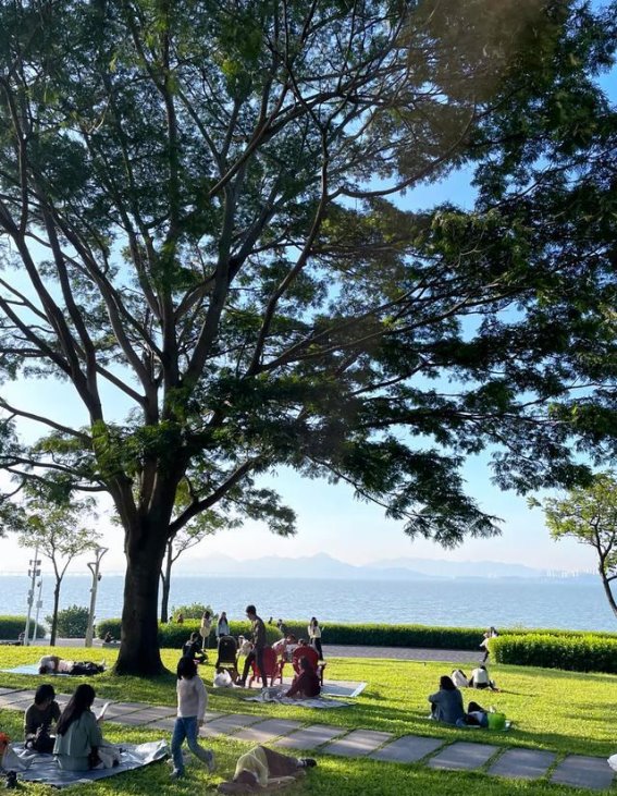 深圳湾的冬日治愈时光