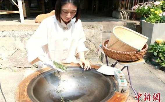 西湖龙井茶的传承与创新：茶香悠扬，技艺薪火相传