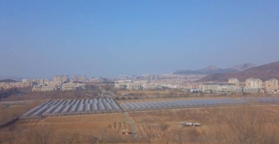 大连望山路：一场静谧的徒步之旅