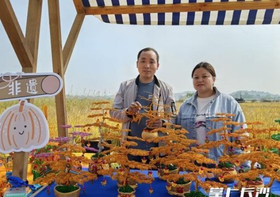 稻田音乐会：千年古镇的秋日旋律