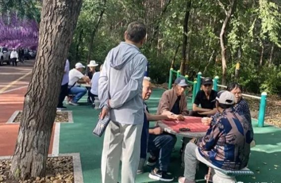 退休生活的真实面貌：理想与现实的碰撞