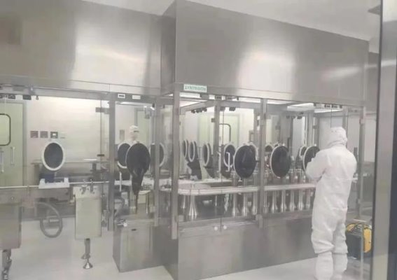 金湾的创新之光：斯泰度塔单抗注射液的崭露头角
