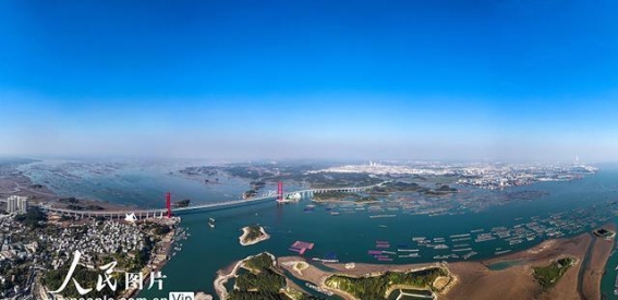 茅尾海的冬日画卷：海洋牧场与自然共生的奇迹