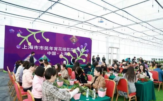 松江花卉盛宴即将开启，带你走进花卉艺术的奇妙世界