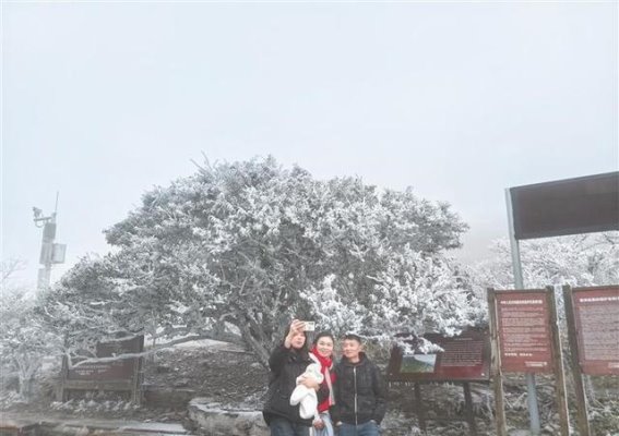 梵净山冬日雾凇：银装素裹的山川与游客如织的脚步