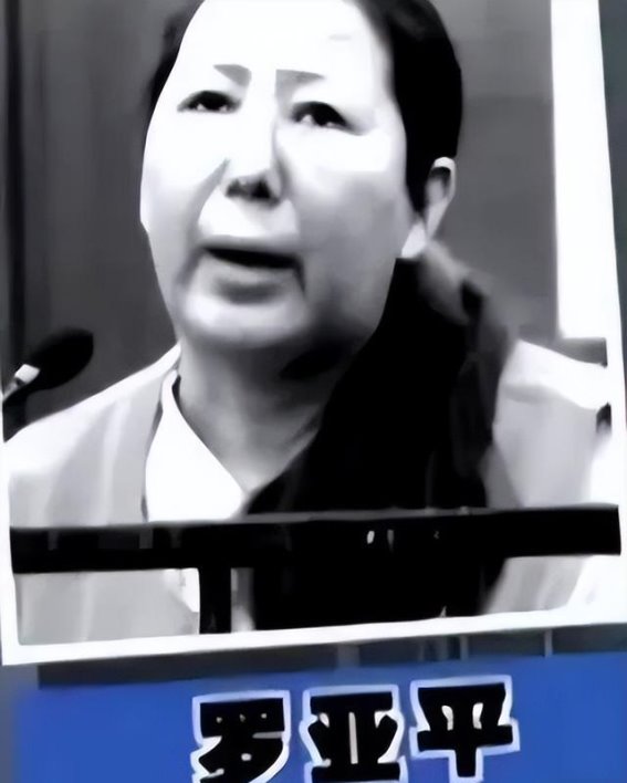 权力的诱惑：从贫困少女到贪官的堕落