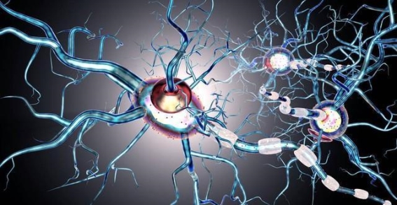 长期使用二甲双胍，维生素B12缺乏的警示信号与预防措施