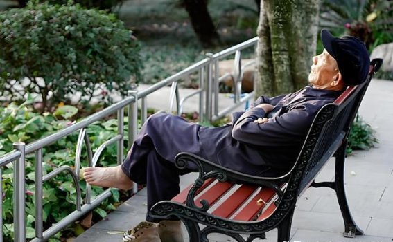 午睡与老年认知：60岁后的健康睡眠原则