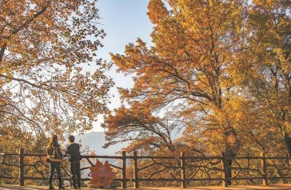 错峰出游：在淡季中寻找最优体验