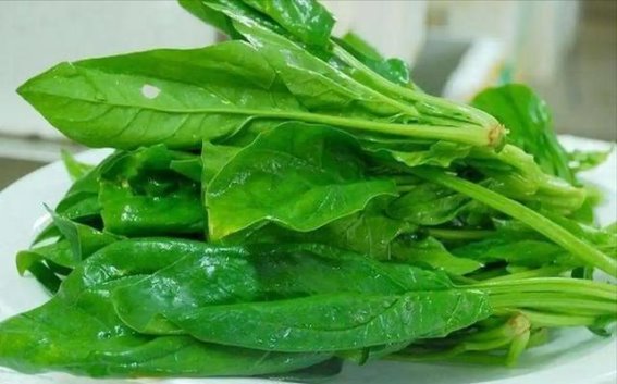 心脏衰竭与缺镁有关系？医生提醒：中老年人该多吃这4种食物，保护心脏