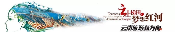 春光明媚樱花绽放，浪堤共赴春日浪漫