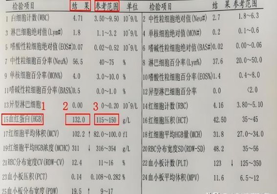 老年饮食的真相：从“七分饱”到营养均衡的转变