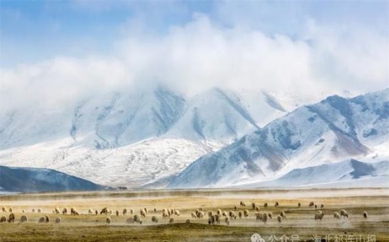 冬游祁连：雪山与美食交织的诗意之旅