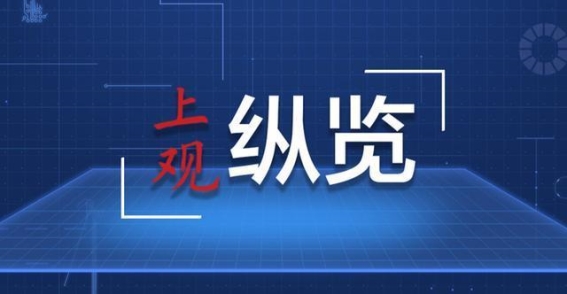 布达拉宫的涂料秘密：传统与现代的交汇