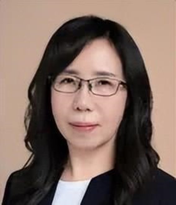 数字中医药：在新时代推动中医药发展与创新