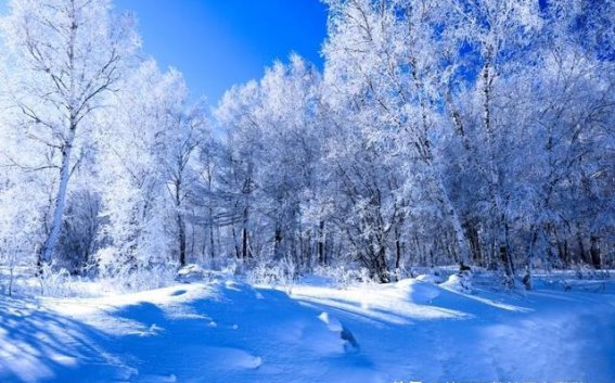 阿尔山：冬日童话中的雪国秘境