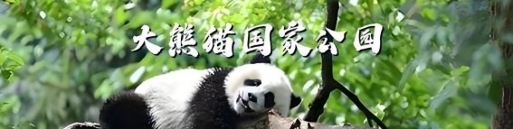 在春风中共度元宵节，与国家公园同行