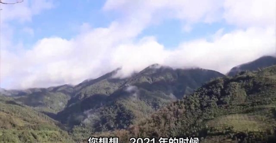 哀牢山的华丽逆袭：从禁地到人间仙境