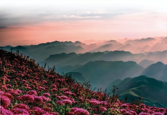 韭菜坪的云海与石林：彝人心中的神山
