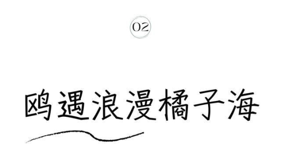 太湖仙岛开放！冬季与红嘴鸥的浪漫邂逅