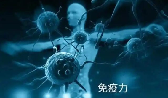男性睡前吃几粒枸杞，或许带来这五个意想不到的好处