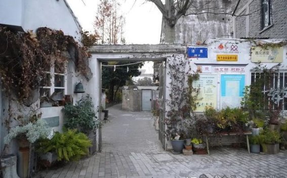 梦幻法式花园，藏匿在苏州这片老小区里的诗意天地