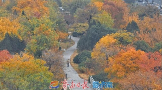 初冬济南腊山河畔的色彩斑斓与自然馈赠