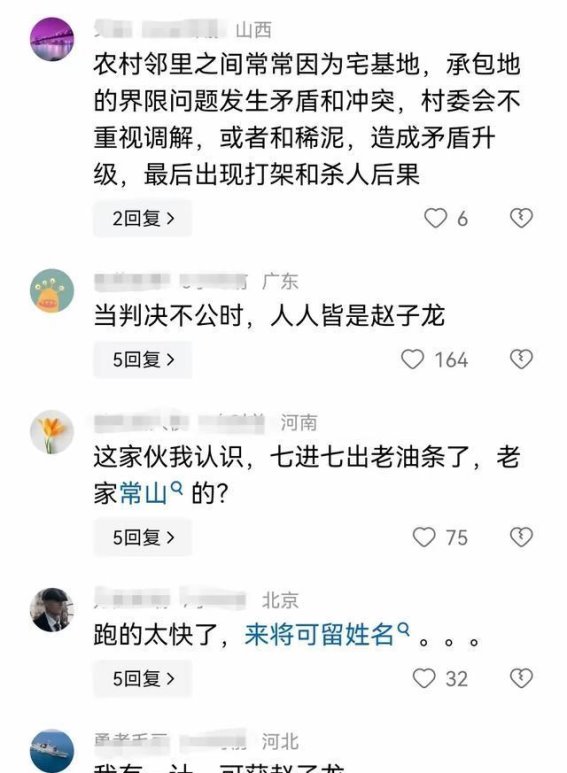 河南“赵子龙”案件引发的社会讨论：从个人冲动到法律反思