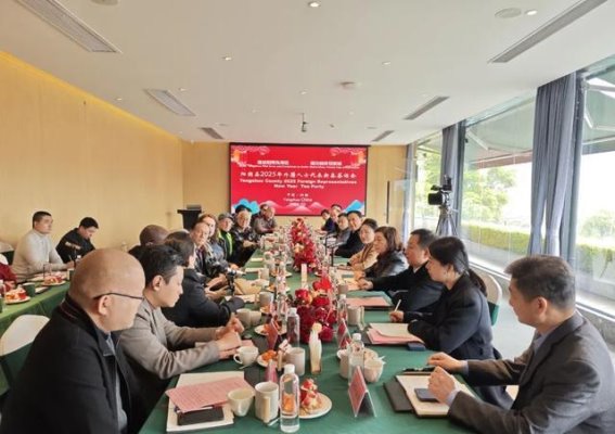 阳朔携手外籍友人共绘世界级旅游城市新蓝图