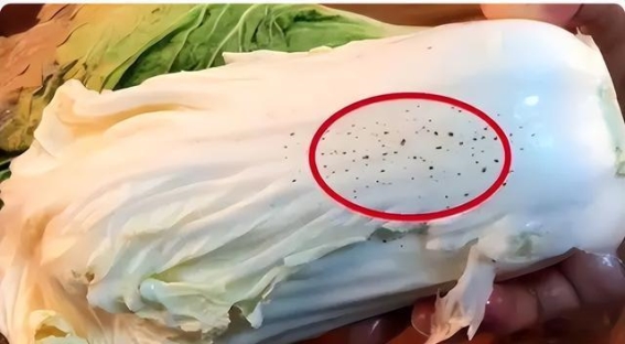 揭穿食品安全谣言：真相大揭秘