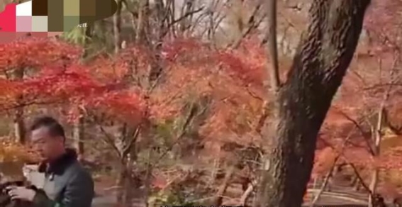 南京中山植物园和服事件：文化敏感性与公共空间的冲突