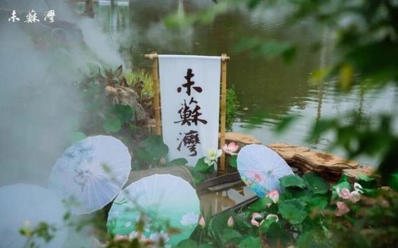 未苏湾的变迁与诗意岁月