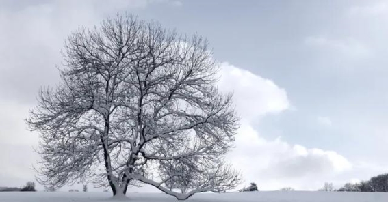小雪时节养生指南：顺应时令，保暖防寒