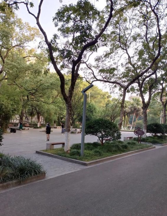 在烈士公园的领悟与自我重塑