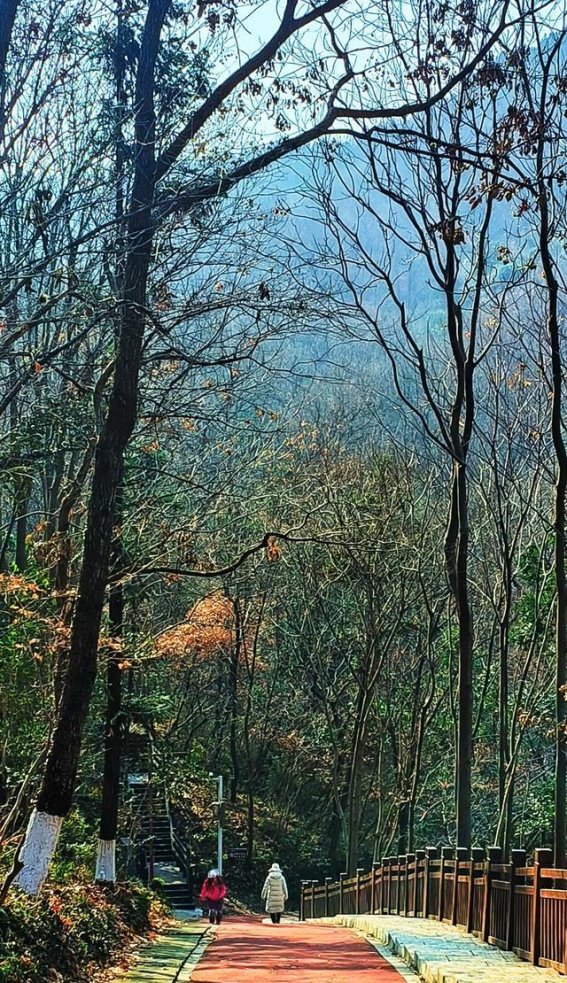 立春登岘山，踏春而行迎新岁