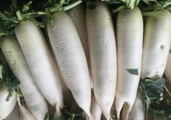 甲流来袭，医生建议：少吃橘子柚子，多吃这4种食物，润肺降火助抗病