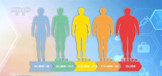 减肥的误区与科学方法