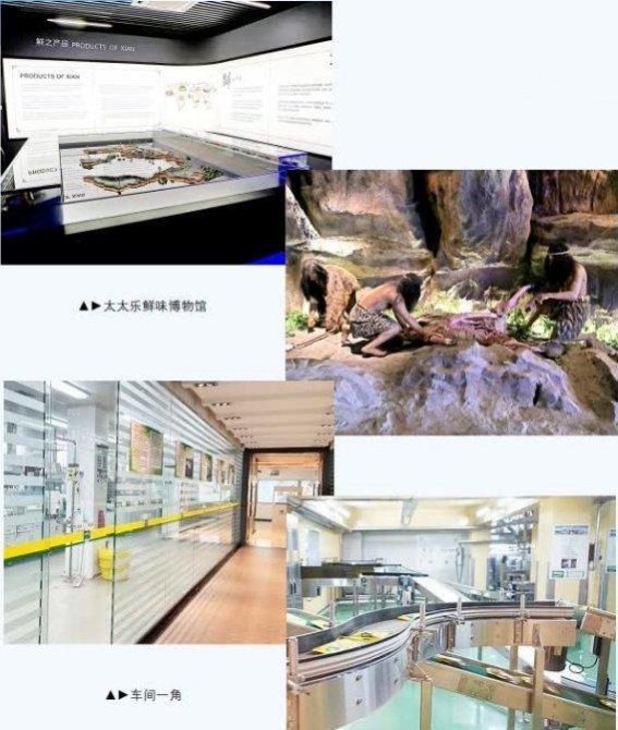 鲜味文化新体验：太太乐工业旅游带你揭秘鲜味之源
