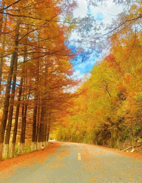 汉中秦岭一号旅居专线：交通与旅游融合的典范