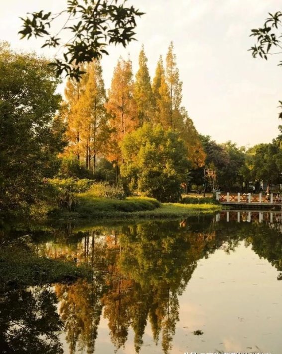 福州的秋日绿洲，闽江南园如油画般美丽