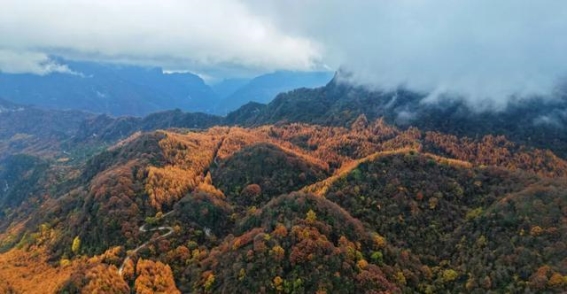 初冬的嘉陵上滩，温柔的秋色与静谧的山野