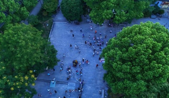 夜游古城，苏州夏夜的水岸漫步