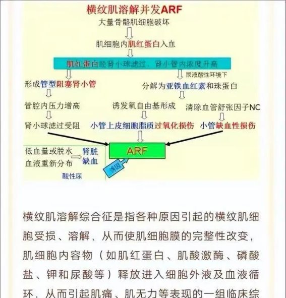 柚子的美味与隐患：警惕饮食中的潜在风险