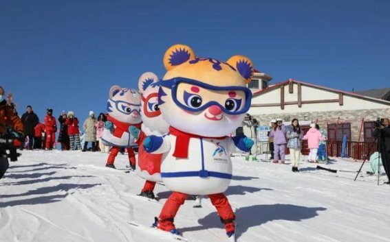 与冰雪共舞：哈尔滨冰雪季正式启幕