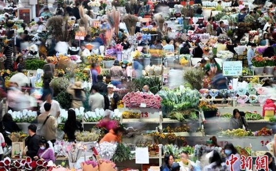 昆明斗南：夜幕下的花卉奇观与繁荣夜经济