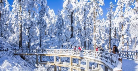 冬季眉山：在诗意雪景与温泉养生中慢享时光