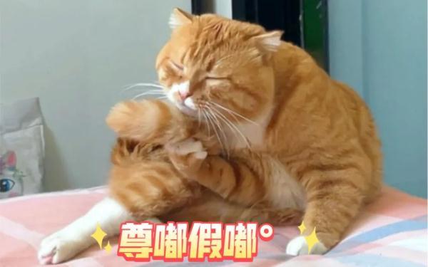 防范诈骗丨街边扫码送礼物？当心“码”上有诈！