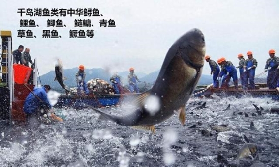 千岛湖的