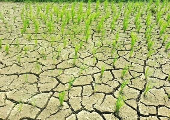 未来之水：解读中国“天河工程”耗资2500亿的“空中运河”